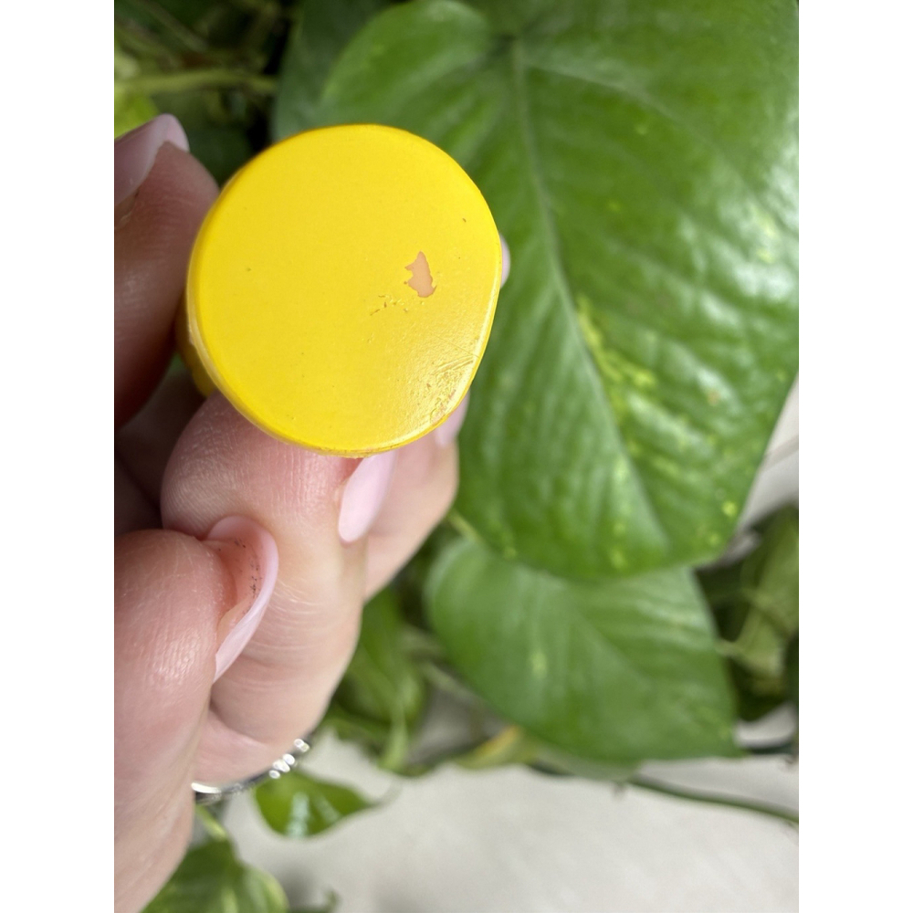 1982 Strawberry Shortcake Lemon Meringue 1.75" Collectible Mini Figure - Picture 4 of 5